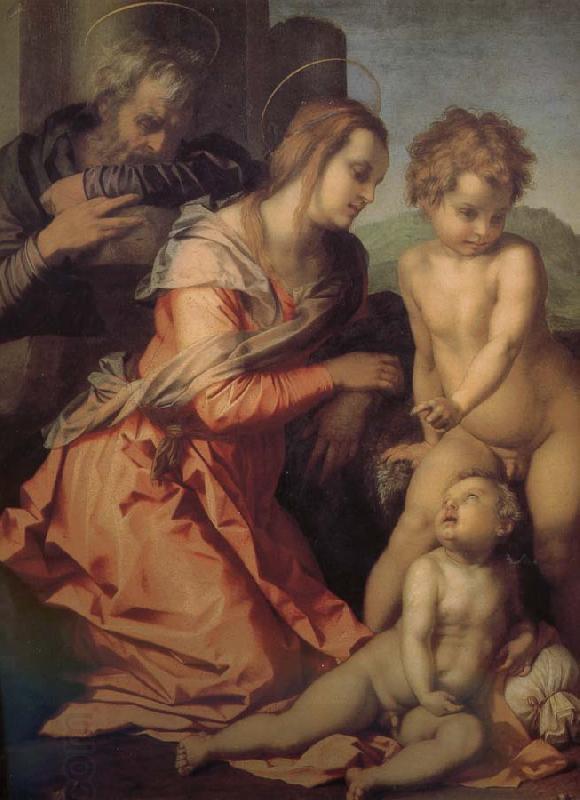 Andrea del Sarto Holy Family China oil painting art